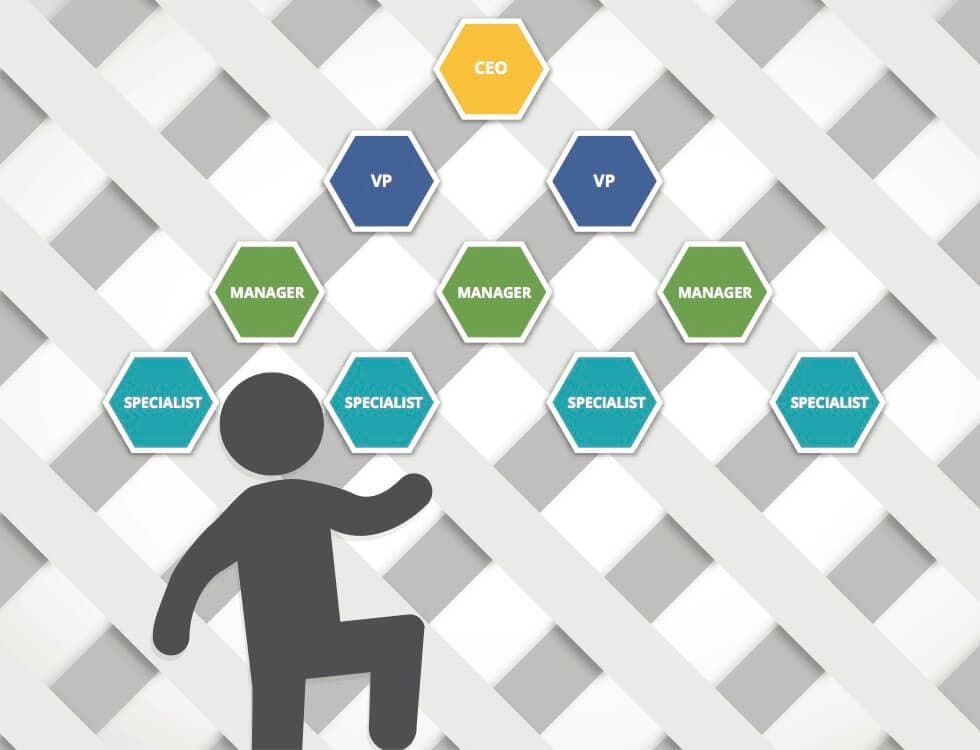 Mentoring is a key part of the career lattice