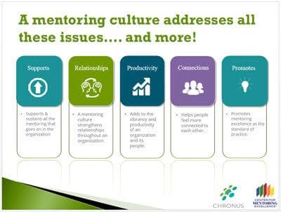 Webinar slide: how a mentoring culture addresses workplace issues